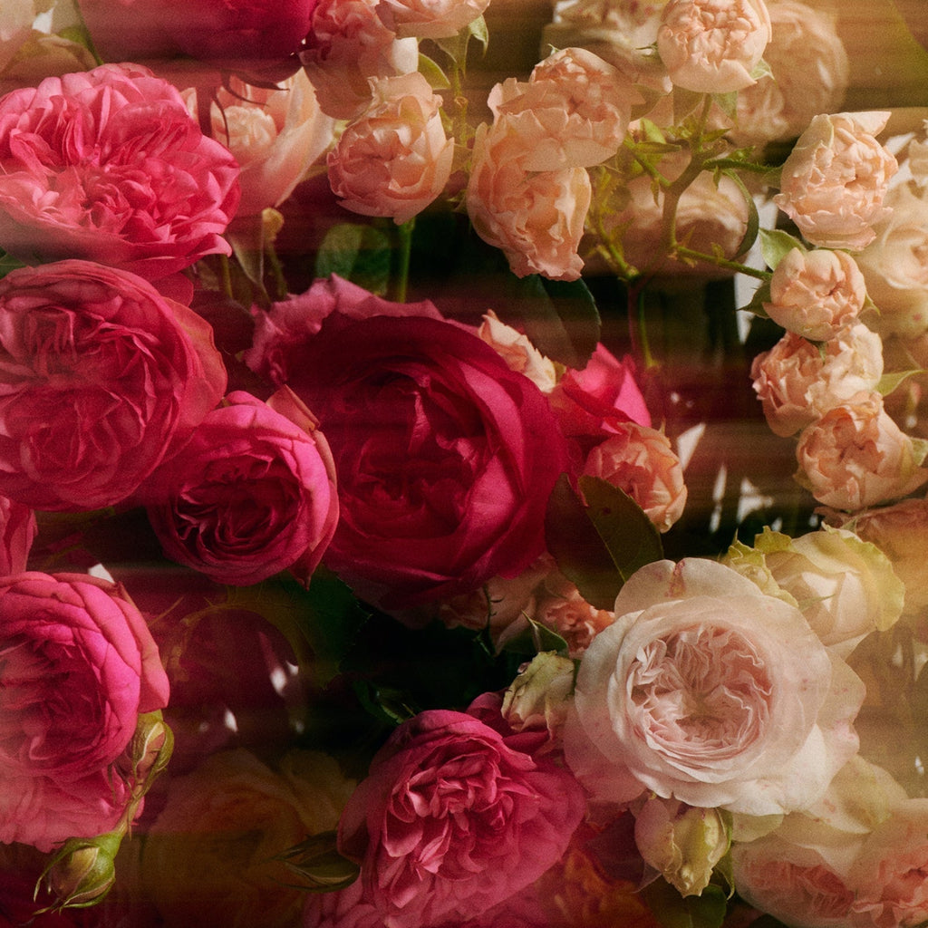 Jasmine Damask Rose Glass Hand Soap