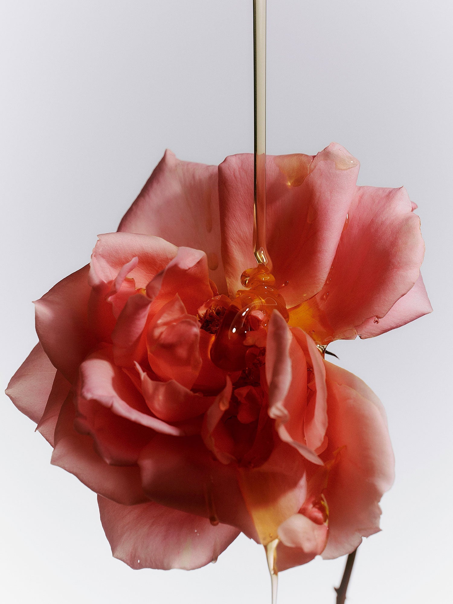 Jasmine Damask Rose Glass Hand Soap