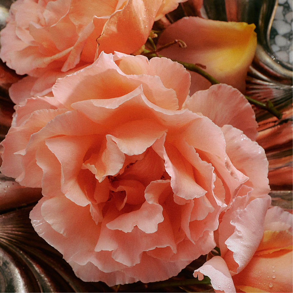 Jasmine Damask Rose Hand Soap