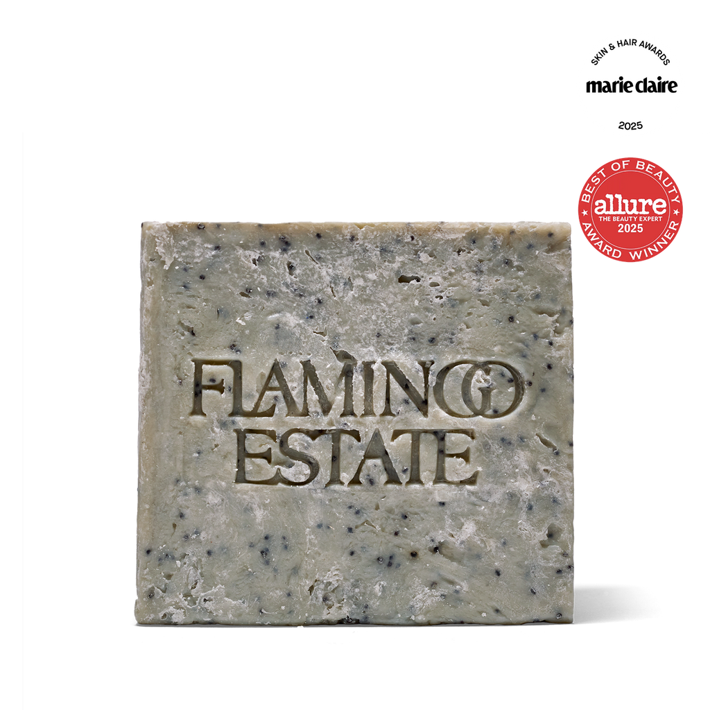 Morning Exfoliating Peppermint Soap Brick